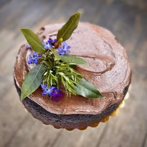 Chocolate Fudgy Cake (vegan & DF)