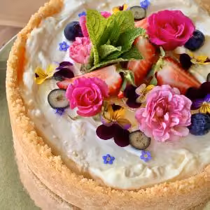 Lemon Cheesecake