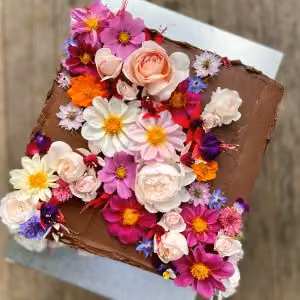 Celebration Cake - The Renee - Triple Stacked Chocolate Mousse Cake