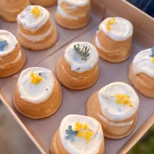 12 Baby Sponges